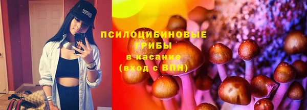стафф Абдулино
