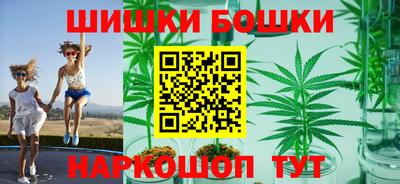 шишки Краснознаменск