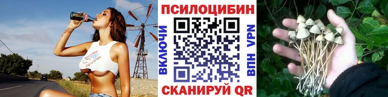 как найти закладки  Прокопьевск  Псилоцибиновые грибы Psilocybine cubensis 