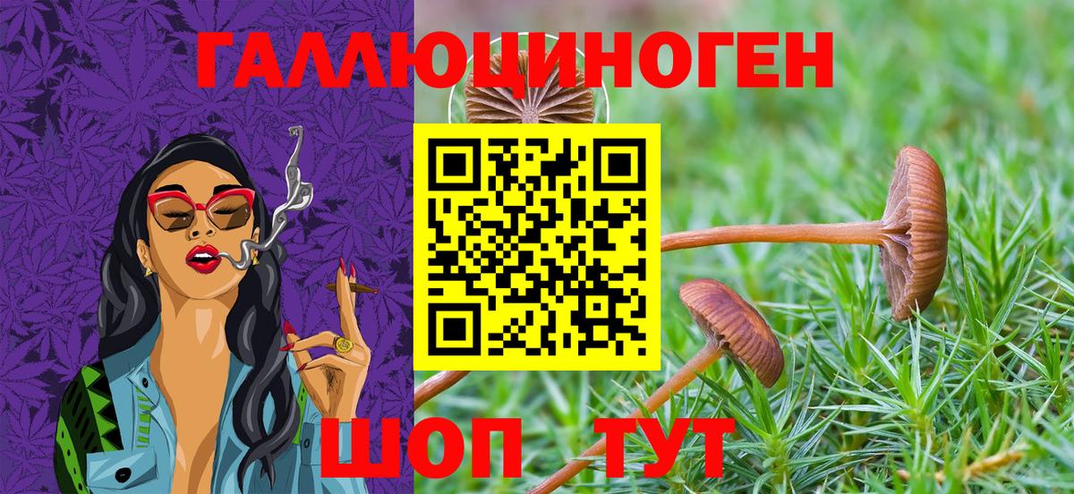 Псилоцибиновые грибы GOLDEN TEACHER  Вход с VPN  даркнет сайт  Прокопьевск 